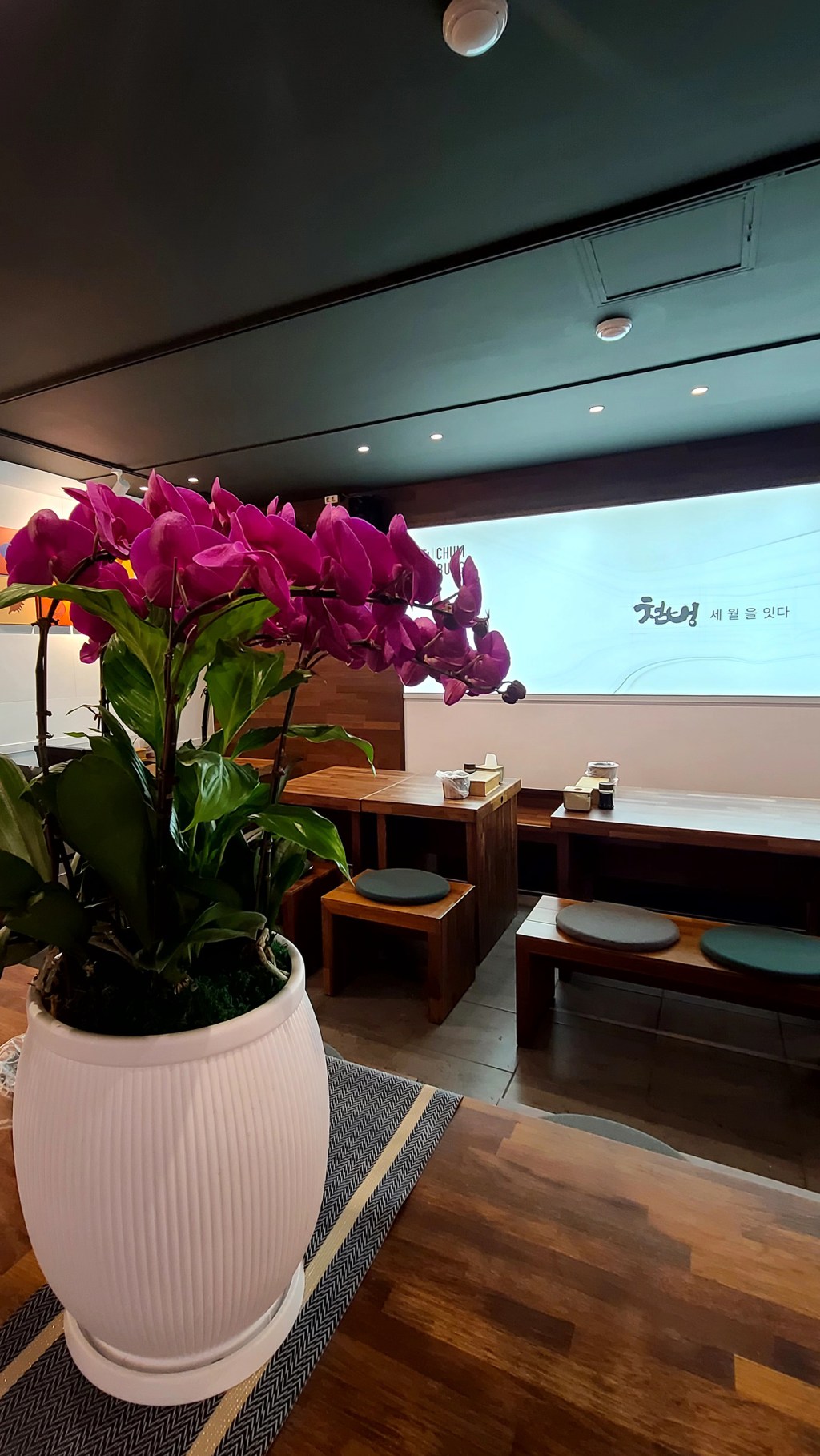 아구本家 첨벙  대치점